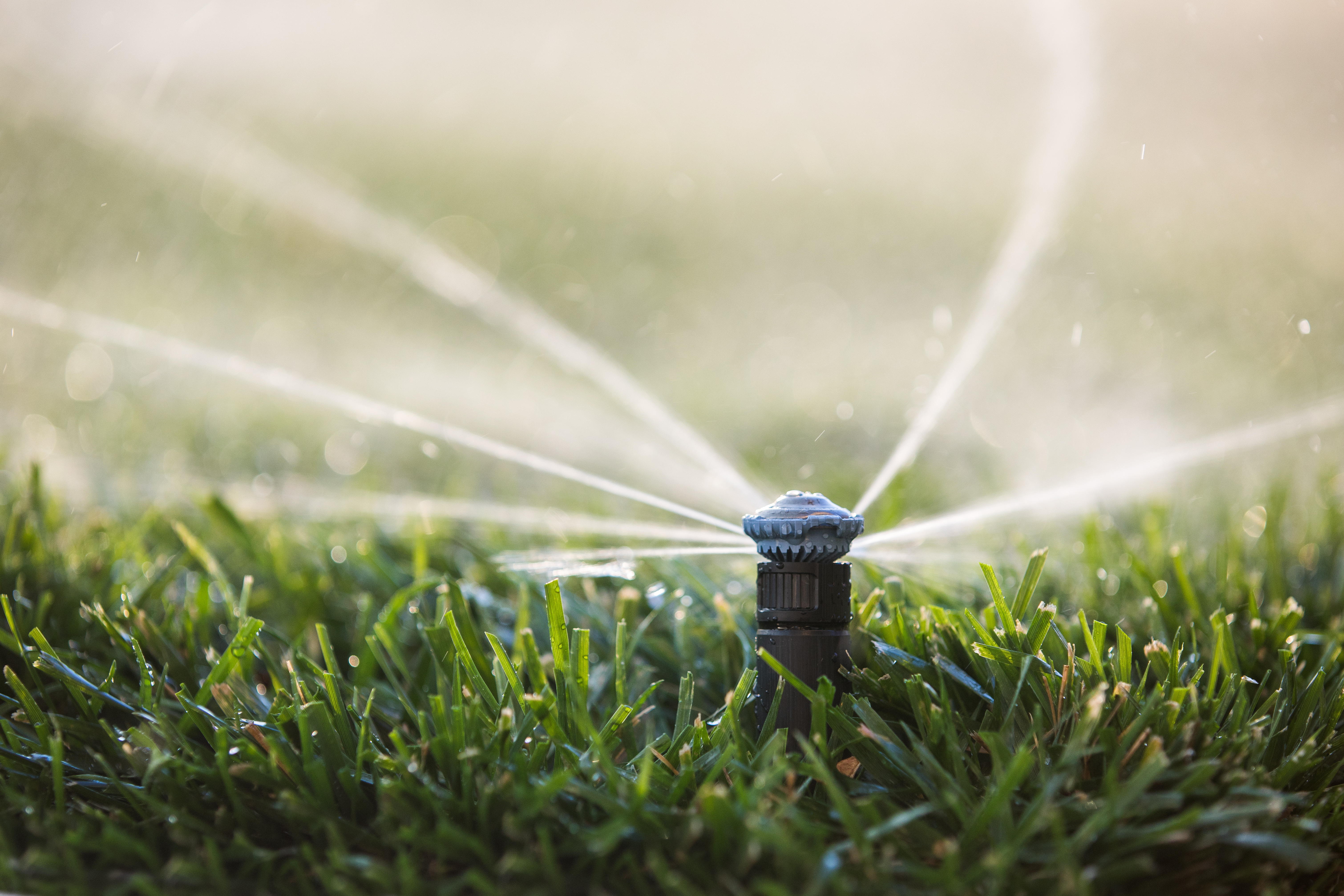 Rain Bird Versenkregner bewässert eine Rasenfläche mit automatischer Gartenbewässerung