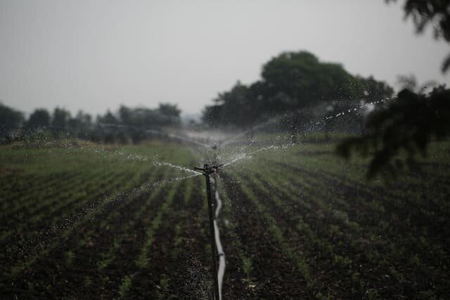 Eine Rasensprinkleranlage