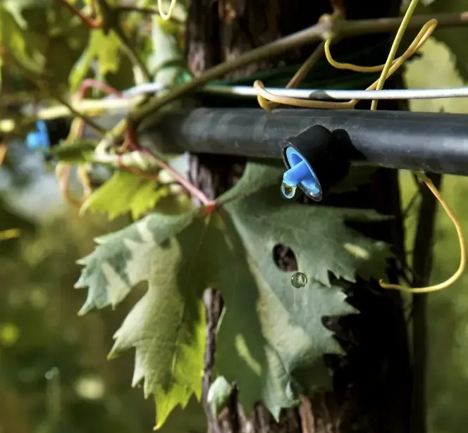 Tropfschlauch & Tropfrohr fr Gartenbewsserung kaufen