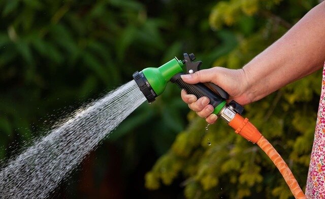 Eine Hand hält einen Wasserschlauch, der gerade den grünen Rasen bewässert