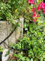 Rohrschellen, Rohrclips, Schlauchschellen, Schlauchclips 16m