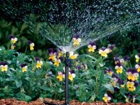 Rain Bird JET SPIKE Microsprinkler, Spr& gallery
