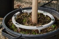 Irritec iCircle™ Topf-Bewässerungsringe 6