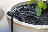 Einstellbarer Potstream Topf-Tropfer - Sprüher mit Erds